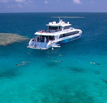 Silverswift, Cairns